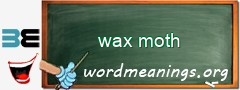 WordMeaning blackboard for wax moth